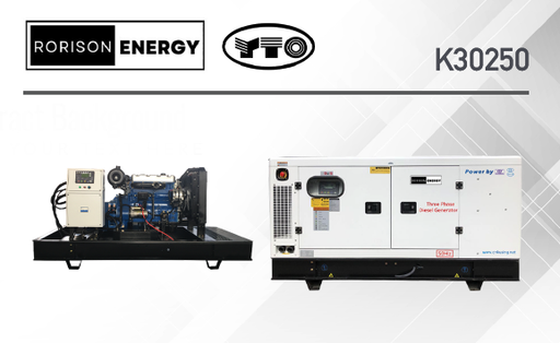 K30250	DIESEL GENERATOR	31.3 	KVA