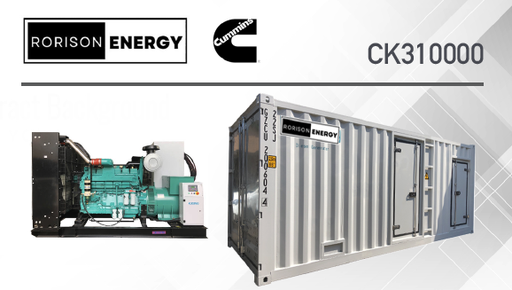 CK310000	DIESEL GENERATOR	1250.0 	KVA